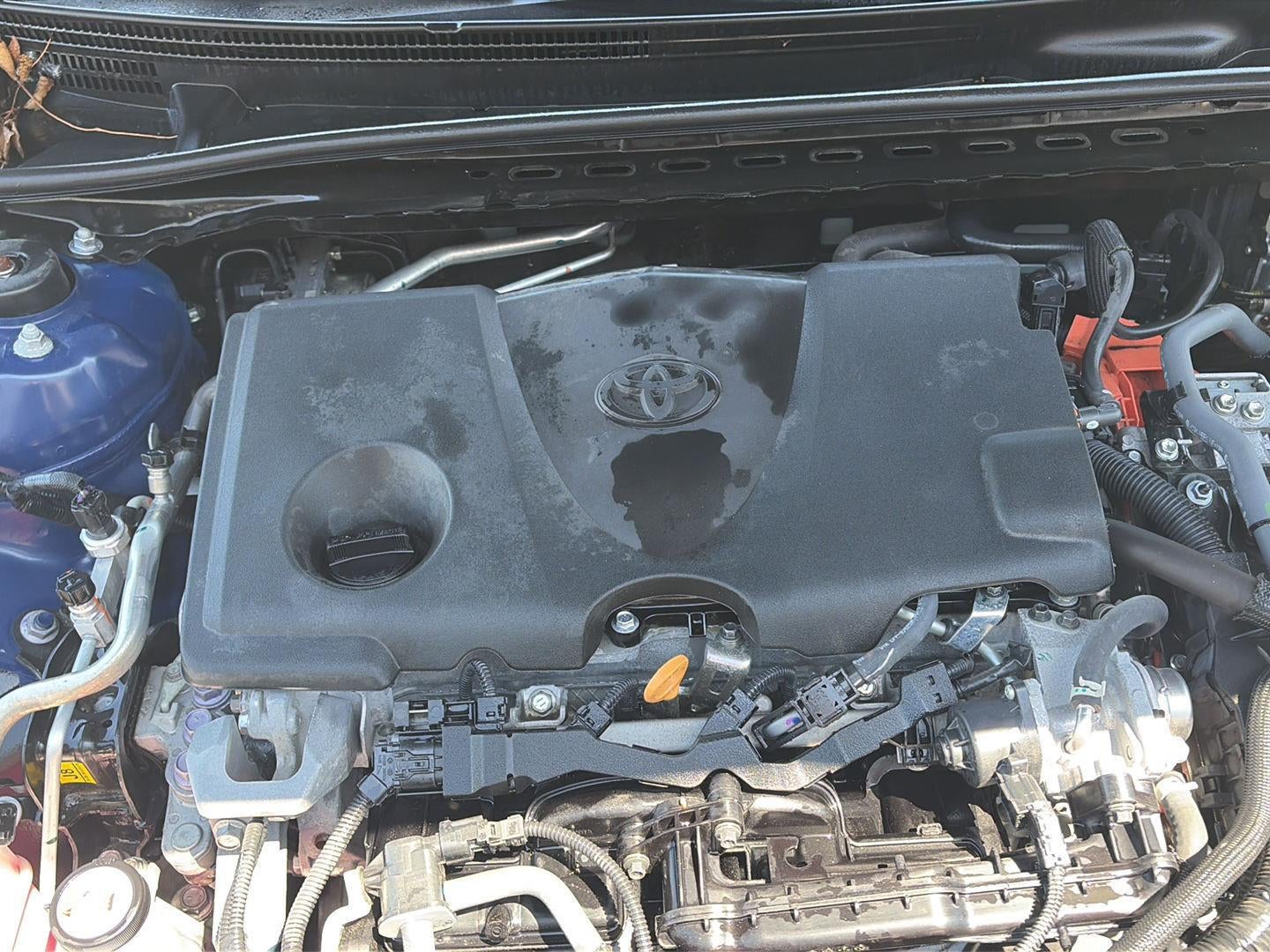 2025 Toyota Camry LE 25